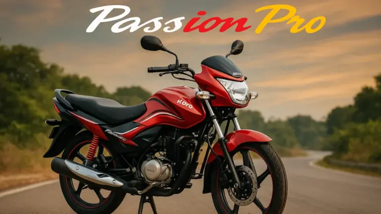 Hero Passion Pro